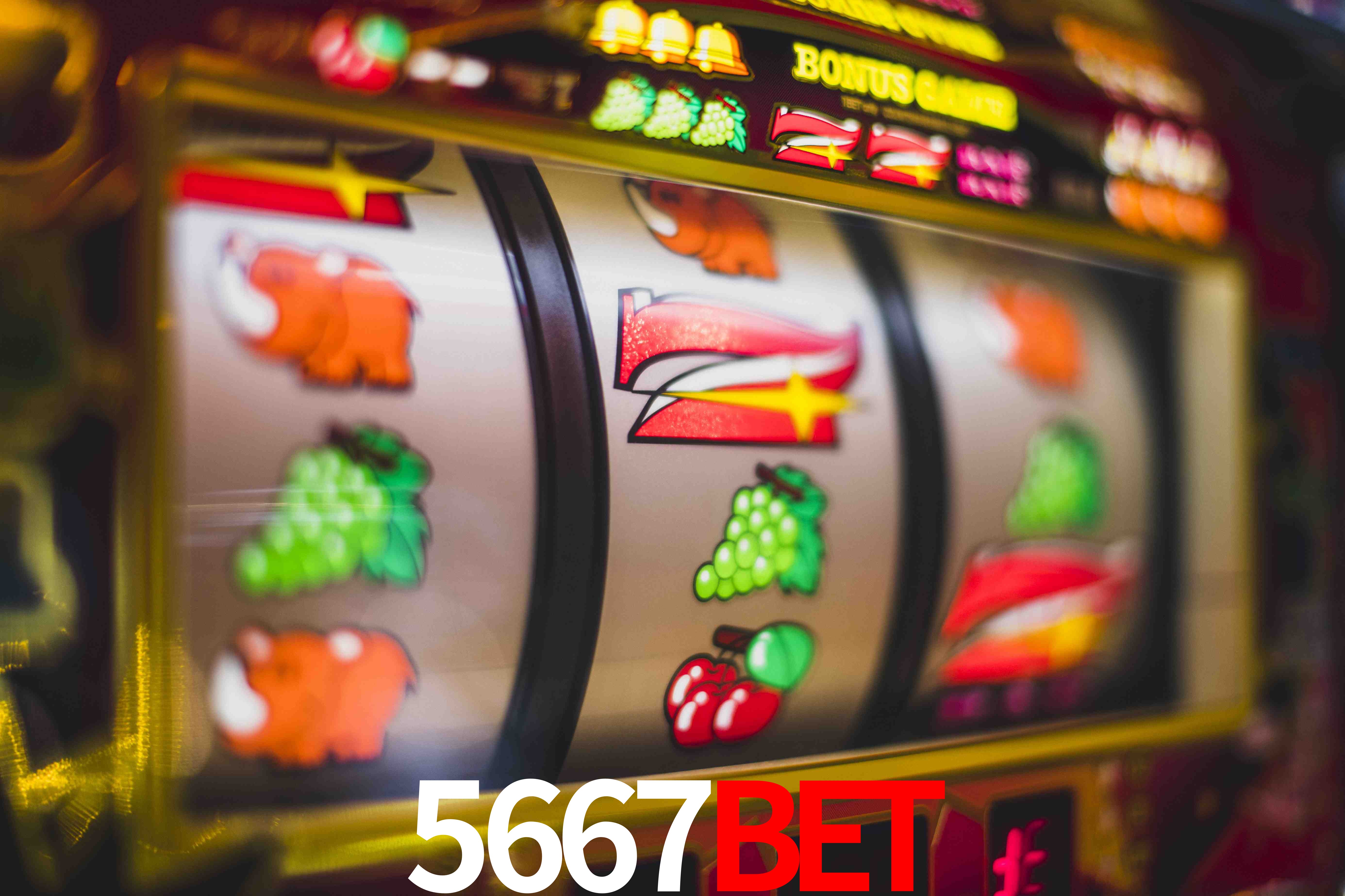 Sports Statistics 5667Bet